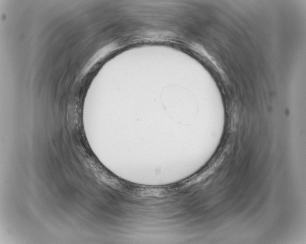 X0000085221211200704091923