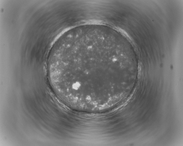 X0000085221212200704091923