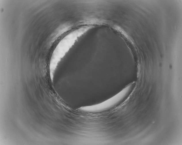 X0000085221213200704091923