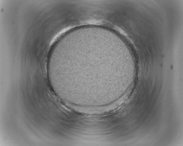 X0000085221214200704091923