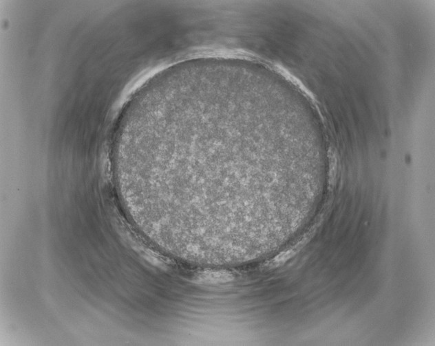 X0000085221215200704091923