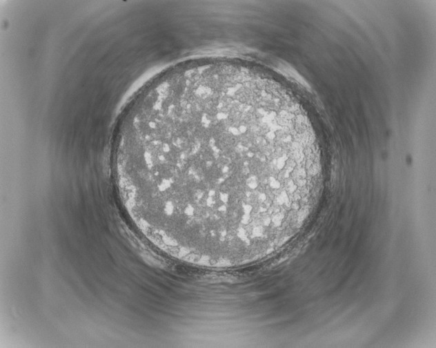 X0000085221216200704091923