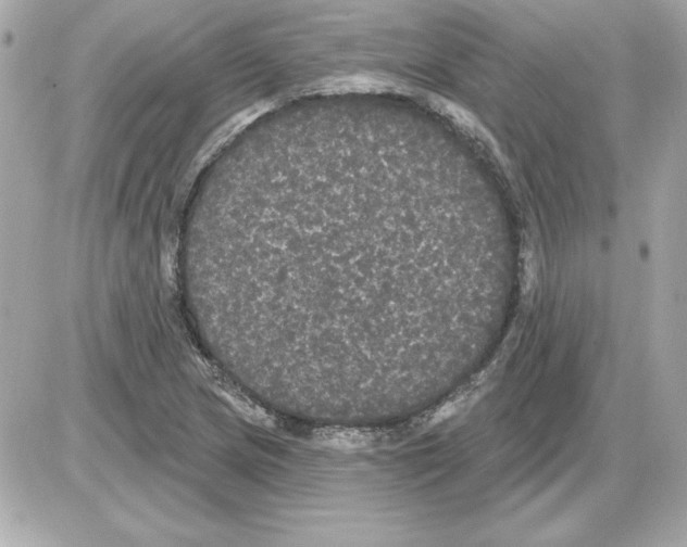 X0000085221217200704091923