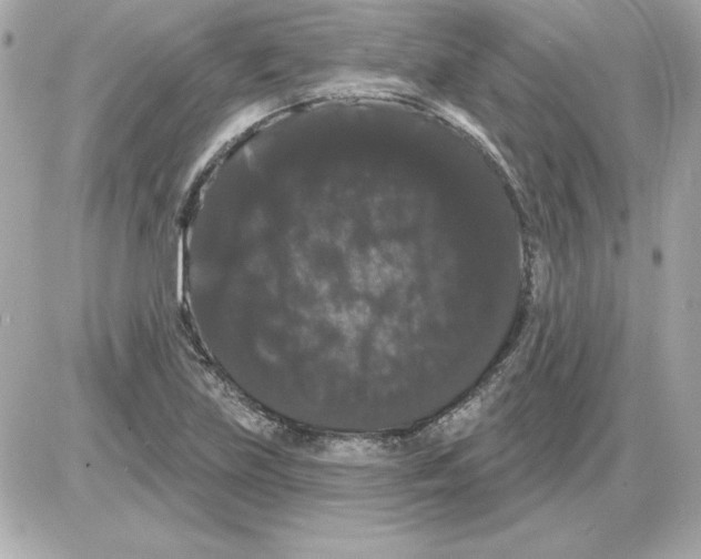 X0000085221219200704091923