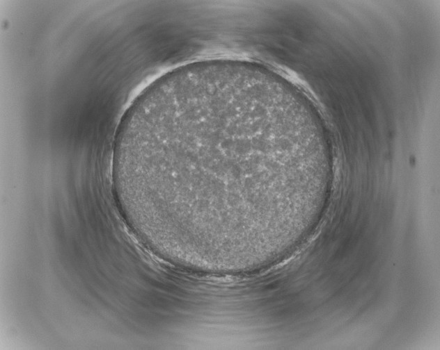 X0000085221220200704091923