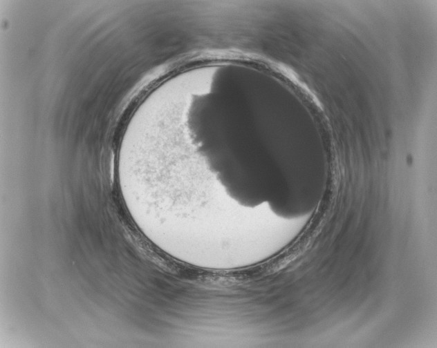 X0000085221221200704091923