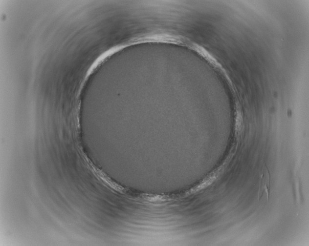 X0000085221222200704091923