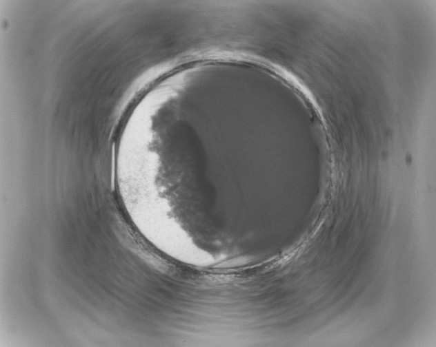 X0000085221223200704091923