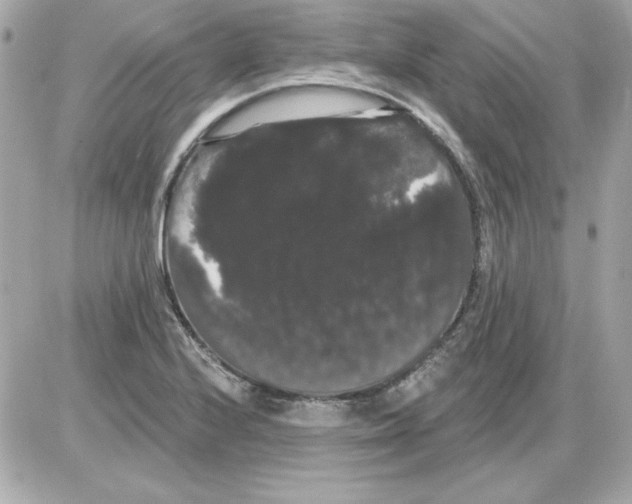 X0000085221224200704091923