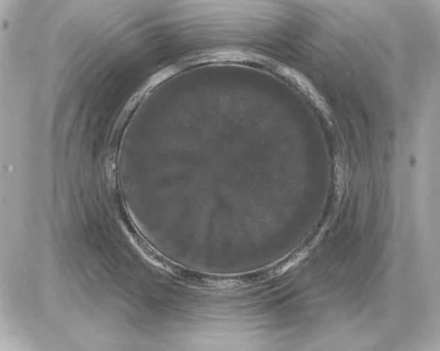 X0000085221225200704091923