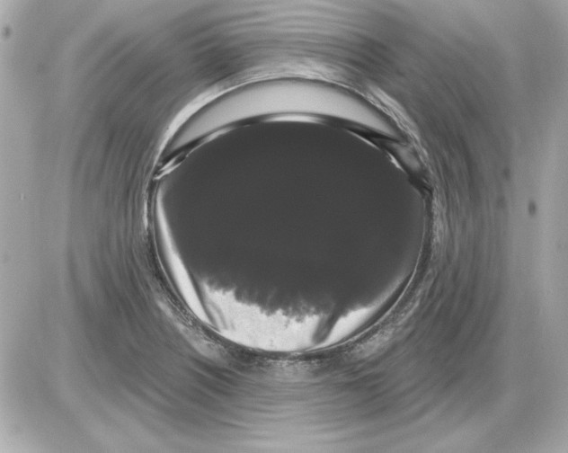 X0000085221226200704091923