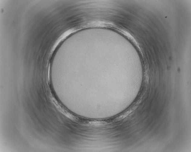 X0000085221227200704091923