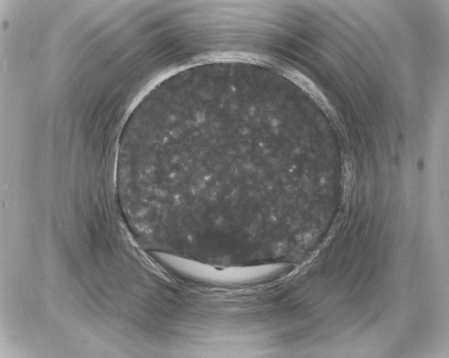 X0000085221228200704091923