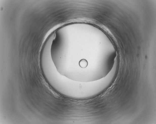 X0000085221230200704091923