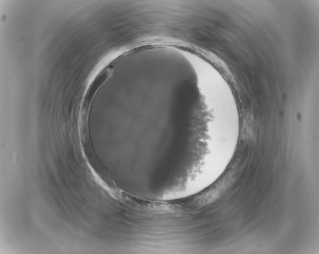 X0000085221231200704091923