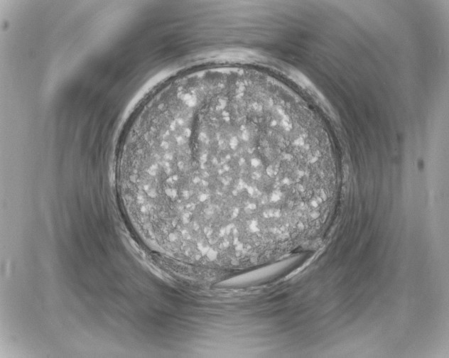 X0000085221232200704091923