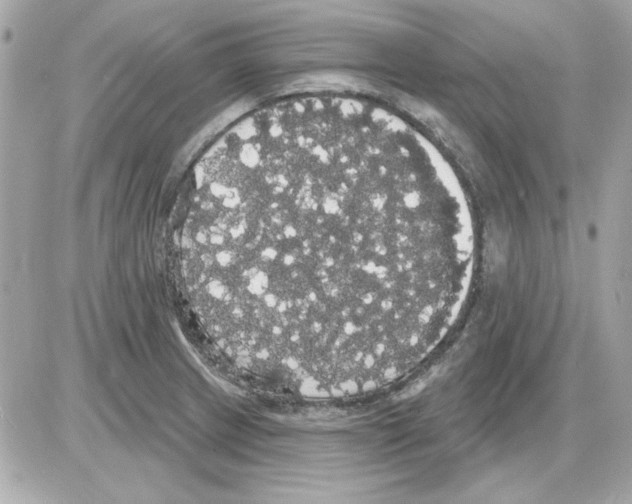 X0000085221233200704091923