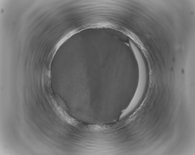 X0000085221234200704091923