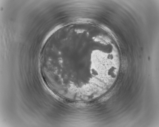 X0000085221235200704091923