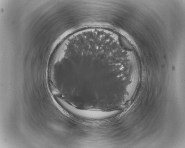 X0000085221237200704091923