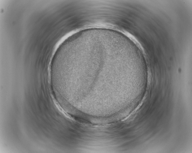 X0000085221238200704091923