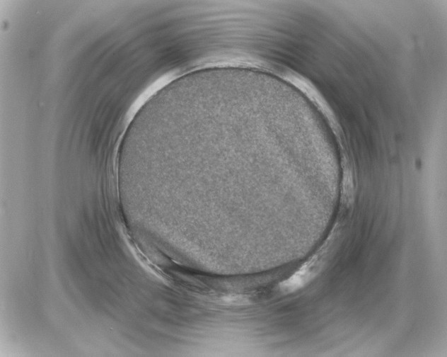 X0000085221242200704091924