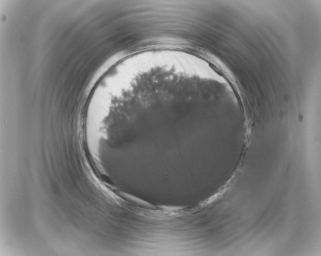 X0000085221243200704091924