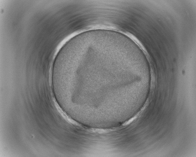 X0000085221246200704091924