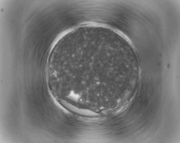 X0000085221247200704091924