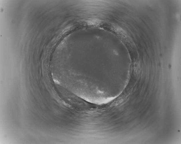 X0000085221249200704091923