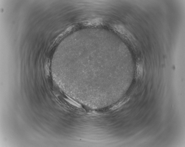 X0000085221250200704091923