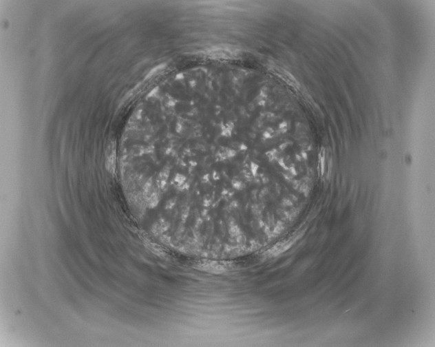 X0000085221251200704091923