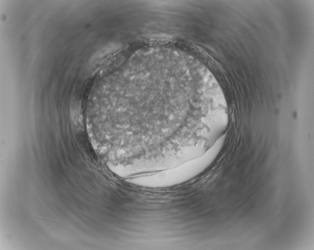 X0000085221252200704091923