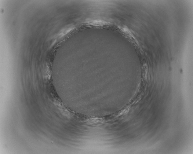 X0000085221253200704091923