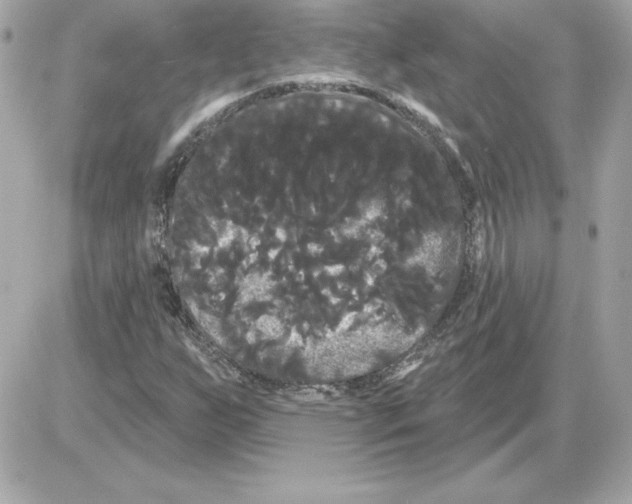 X0000085221255200704091923