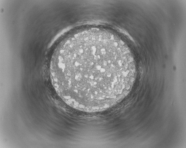 X0000085221256200704091923