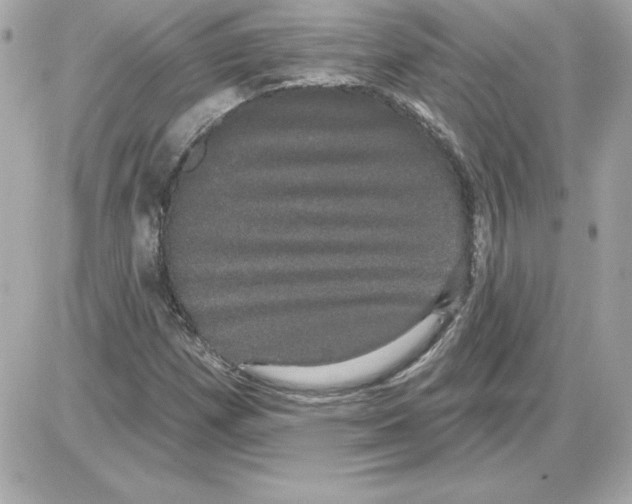 X0000085221257200704091923