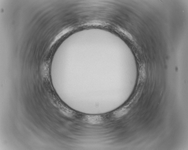 X0000085221258200704091923