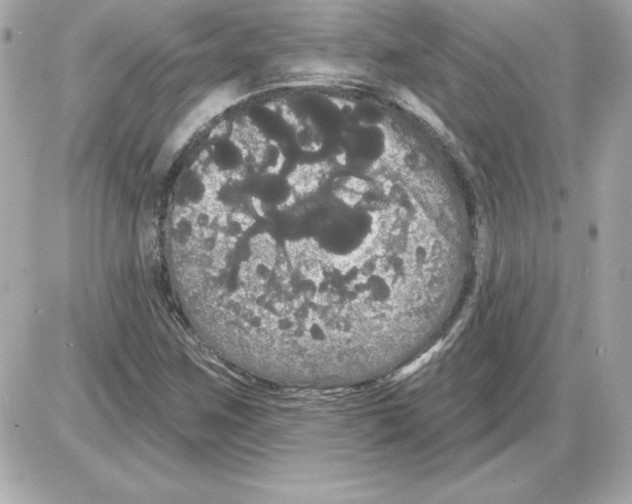 X0000085221259200704091923