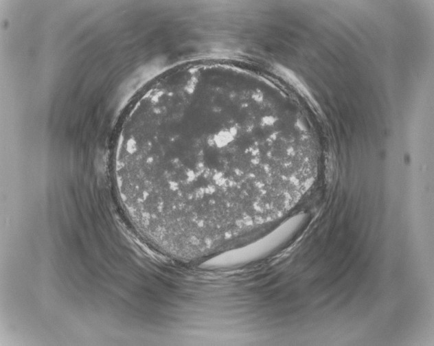 X0000085221260200704091923