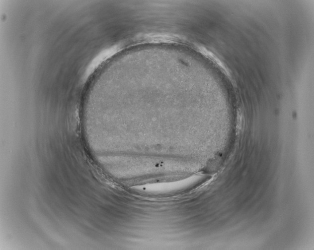 X0000085221261200704091923