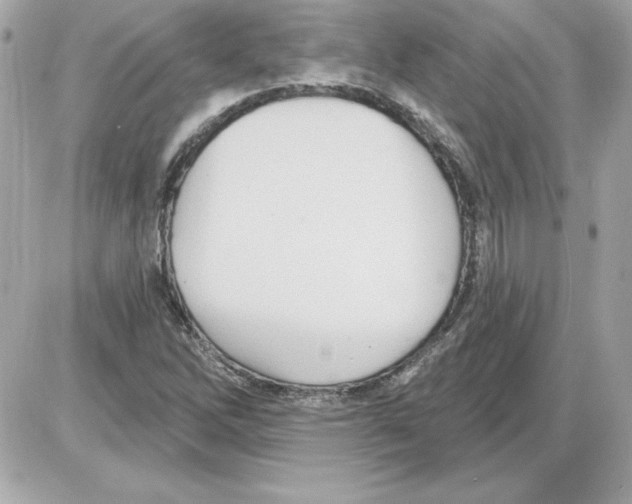 X0000085221262200704091923