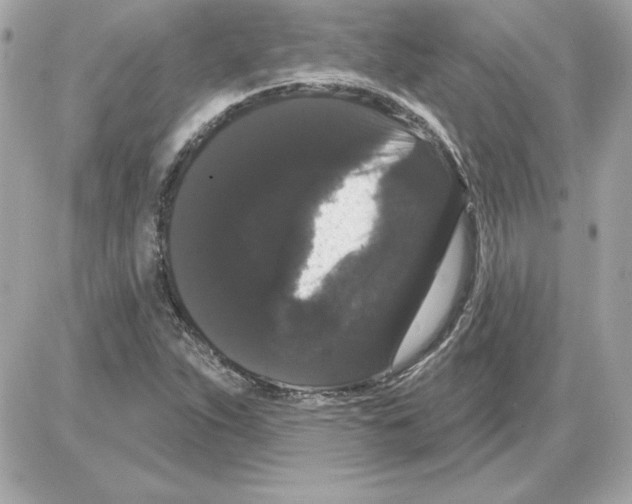 X0000085221263200704091923