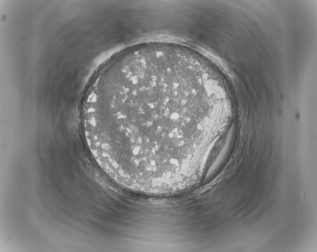 X0000085221264200704091923