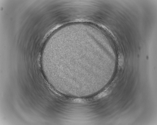 X0000085221265200704091923