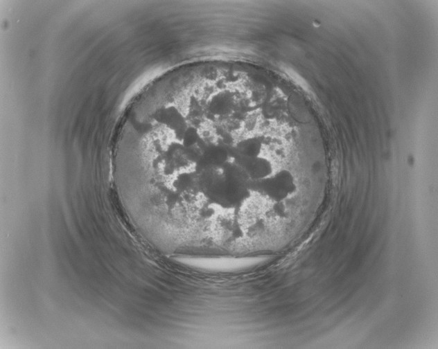 X0000085221267200704091923