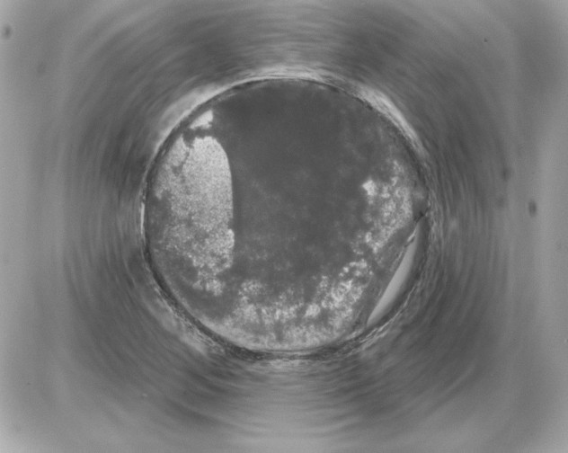 X0000085221268200704091923