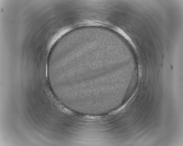 X0000085221269200704091923