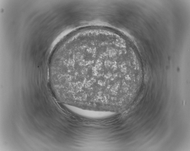 X0000085221271200704091922