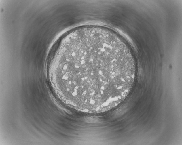 X0000085221272200704091922